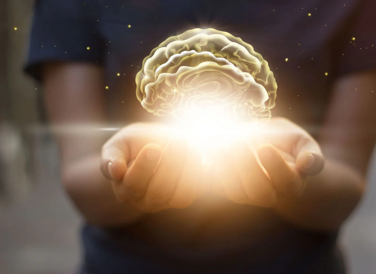 Cognitive Support