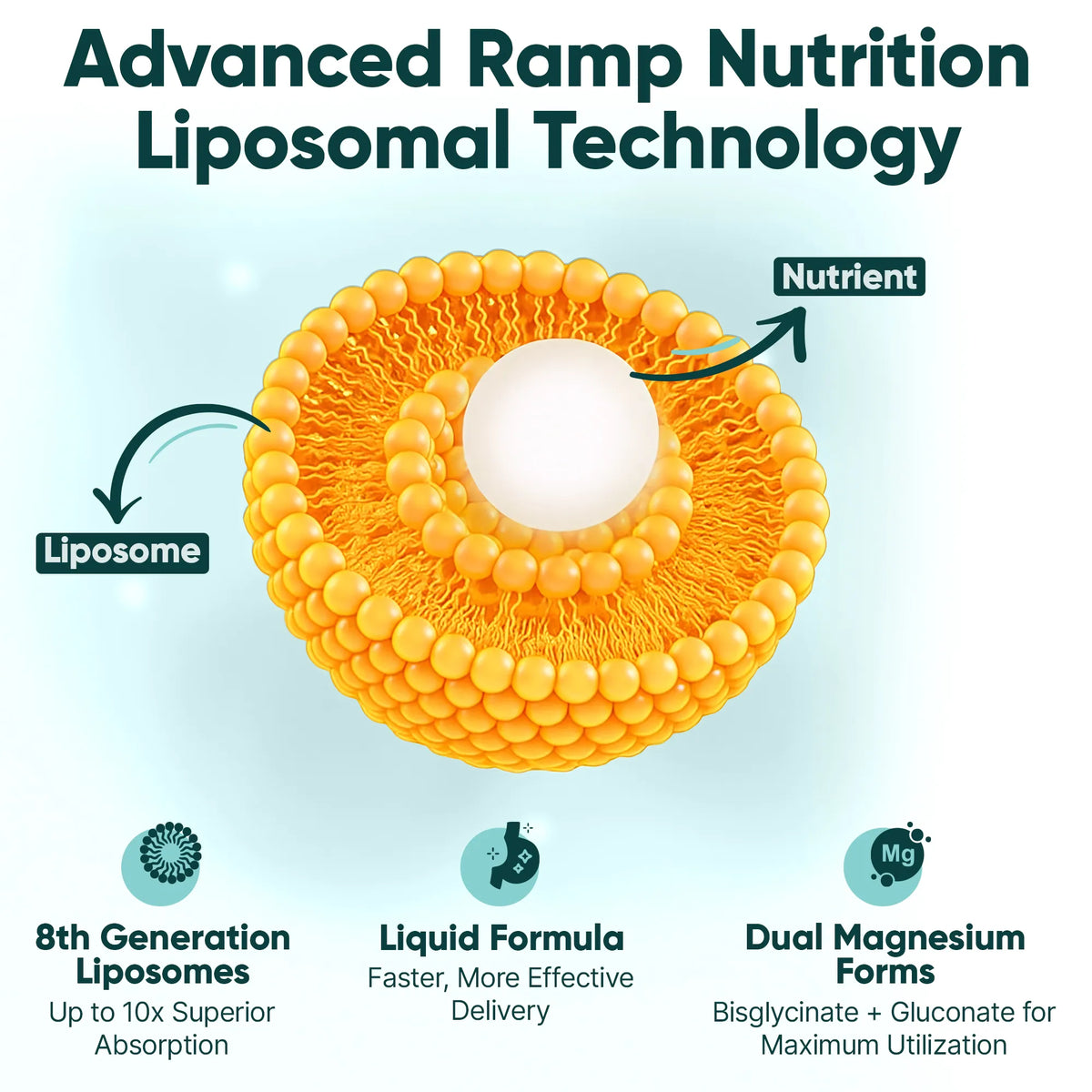 Liposomal Magnesium