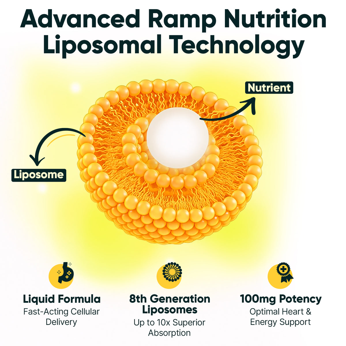 Liposomal Coenzyme CoQ10